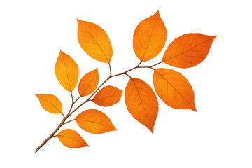 Naklejka premium Branch with orange autumn leaves on transparent background