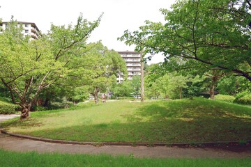 August 8, 2025, Takarazuka City, Hyogo Prefecture, Japan. Scenery around the Sumiregaoka Hill (Scenes around Sumiregaoka Kita Park)