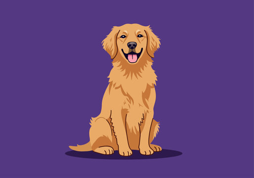 Happy golden retriever dog sitting, smiling, purple background, illustration.