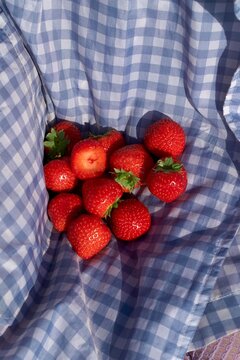 Freshly picked strawberries resting in a blue gingham cloth