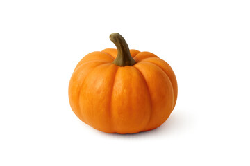 Obraz premium Small pumpkin isolated on transparent background with slight shadow