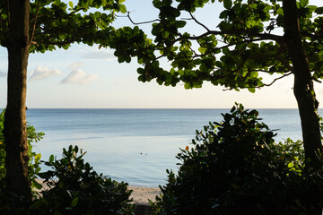木々の間から覗く穏やかな備瀬海岸