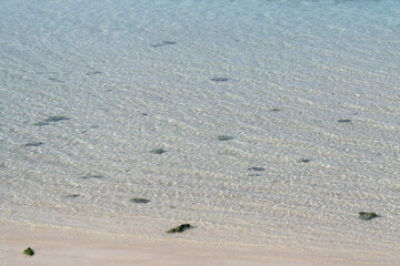 穏やかな備瀬の浜の波打ち際
