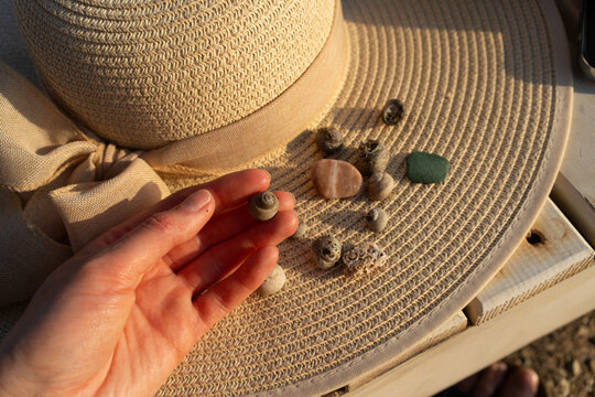 Seashells and Stones on a Straw Hat at Sunset
