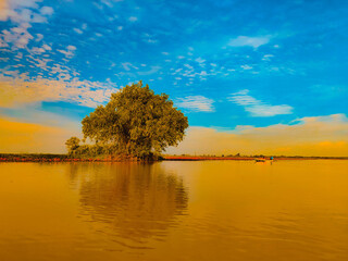 &ldquo;Red Lotus & Birdwatching Boat Tour &ndash; Thale Noi, Phatthalung, Thailand&rdquo;


