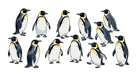 A gathering of emperor penguins standing together in a group on a white isolated background scene illustration