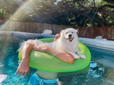 dog sharing pool float