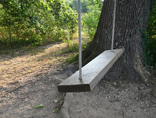 Wooden swing next to tree on a trail