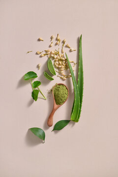 A selection of natural beauty and wellness ingredients