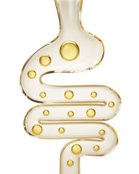 intestine with small ball, medical concept of human anatomy intestine with gas, healthy gut 3d illustration.