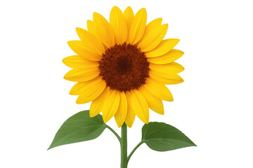 Naklejka premium Sunflower blooming with transparent background for easy editing