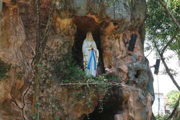 A serene statue of the Virgin Mary stands peacefully within a natural cave formation, surrounded by lush greenery and tree roots. Capturing a moment of spiritual reverence in nature.