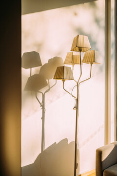 Soft sunlight casts shadows of a unique floor lamp in a cozy room