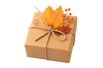 Gift box decorated with autumn leaves and berries on transparent background