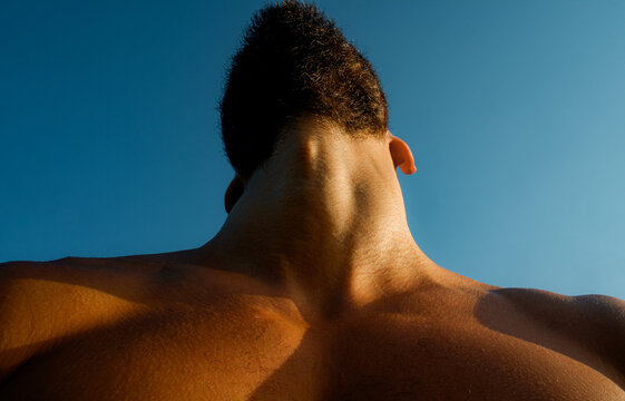 Abstract Low Angle View of Muscular Torso and Jawline