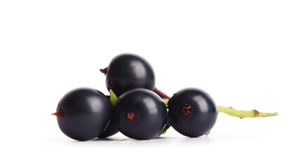 Fresh black currants on white background