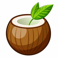 colorful illustration of a coconut, isolated on white background