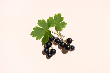 Fresh black currants with leaves on beige background