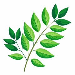 colorful illustration of a curry leaves, isolated on white background