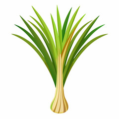 colorful illustration of a lemongrass, isolated on white background