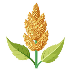 colorful illustration of a quinoa, isolated on white background