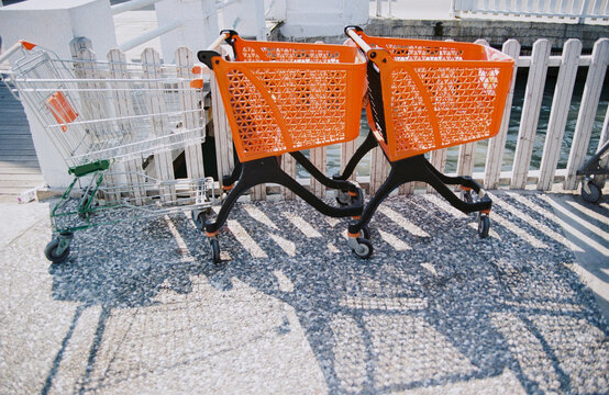 Brightly colored shopping carts beside a waterfront pathway