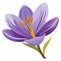 Naklejka premium colorful illustration of a saffron flower, isolated on white background