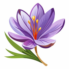 Fototapeta premium colorful illustration of a saffron flower, isolated on white background