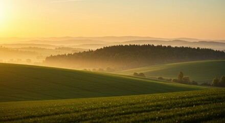 Obraz premium Golden sunrise illuminates misty rolling hills and forested landscape