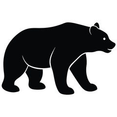 Fototapeta premium Black bear walking profile animal wildlife