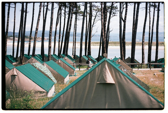 Camping Tents Set up by the Water Under Tall Trees During Sunny Day