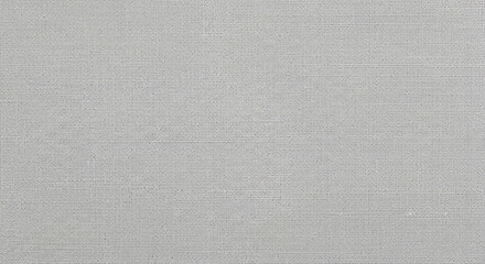 A close up view of a light gray woven fabric texture with a visible grid pattern throughout the image