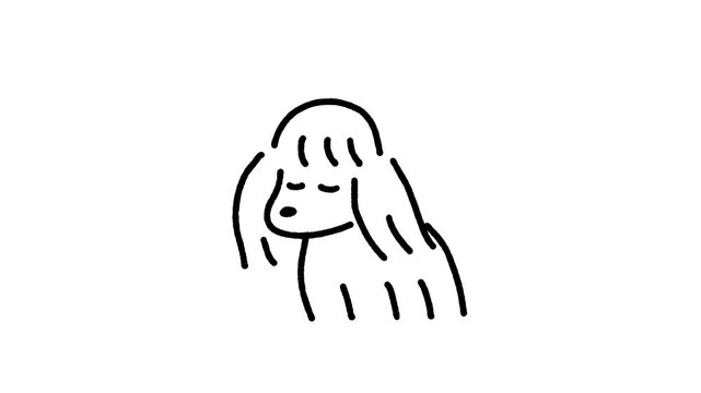 simple cute poodle walks elegantly