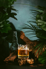Blended whiskey in glass with ice cubes. Dusk background with old driftwood and deep green leaves