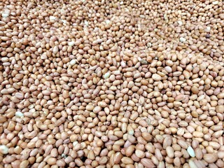 top down view of full frame shoot of fresh peanut, or groundnut, edible legume, showing the texture. selective focus. showcasing natural ingredient cooking healthy food.