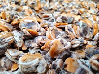 View of full frame shoot of fresh clam meat or peeled cockle or open clam showing the texture. selective focus. showcasing natural seafood ingredient cooking healthy food.