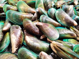 View of full frame shoot of fresh Perna Canaliculus or green lipped mussel or Kupang in Malaysia showing the texture. selective focus. showcasing natural seafood ingredient cooking healthy food. © Adiba