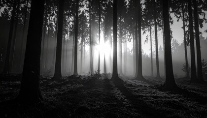 Naklejka premium Ethereal Sunbeams Pierce a Silhouetted Forest in Dramatic Monochrome