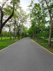 
A walking path cuts through a park surrounded by lush green trees on both sides.