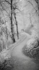 Obraz premium Two people walk together along a snowy path through the frosted forest landscape