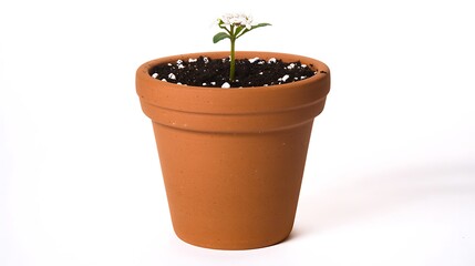 Fototapeta premium Clay flower pot with textured surface and soil inside, captured with DSLR 85mm lens, white seamless background and gentle diffuse light