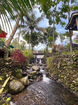 Mountain stream with rocks and lush greenery