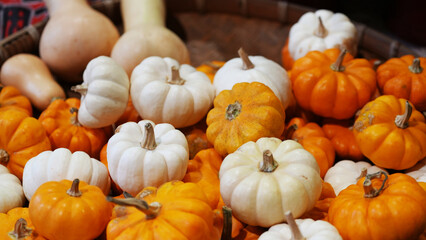 Close-up of vibrant orange and white mini pumpkins displayed at a local market. A fresh seasonal harvest reflects the colorful produce and traditional agricultural lifestyle.