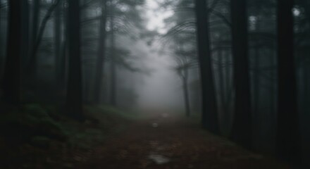 Naklejka premium Ethereal Journey into a Fog-Shrouded, Abstract Woodland