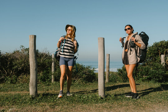 Backpackers pausing near a coastal trail