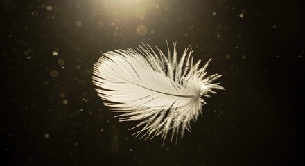 Ethereal White Feather Floating Amidst Golden Dust Particles in Soft Light