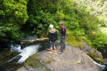 Obraz premium Tourists are visiting a beautiful, non-touristy waterfall on the outskirts of Whangarei., New Zealand.