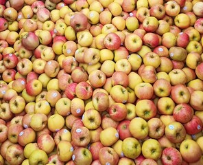 A Trailer Load of Apples