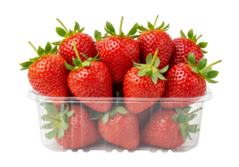 A perfectly ripe, vibrant red cluster of fresh strawberries, translucent plastic clamshell container, white background isolateed