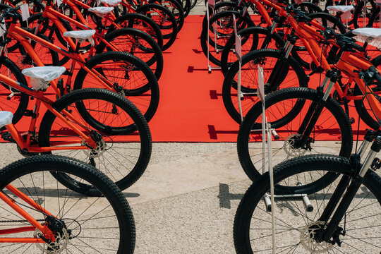 Red bikes lined in rows on a vibrant carpeted surface